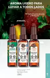 Catálogo Yves Rocher Página 101