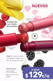 Catálogo Yves Rocher Página 117