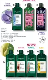 Catálogo Yves Rocher Página 58