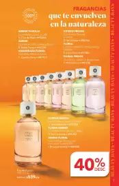 Catálogo Yves Rocher Página 7