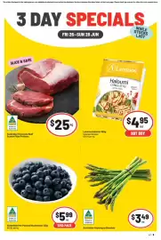IGA catalogue Page 1