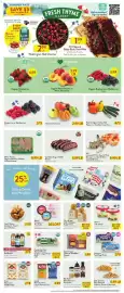 Fresh Thyme weekly ad week 26 Page 3