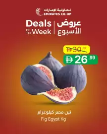 Emirates Co-op catalogue Page 2