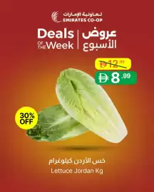 Emirates Co-op catalogue Page 4