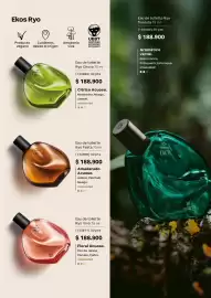 Catálogo Natura Página 34