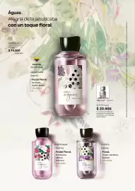 Catálogo Natura Página 41