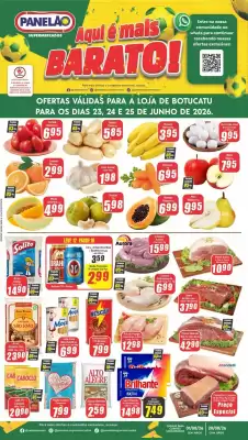 Panelão (válido até 25-06)