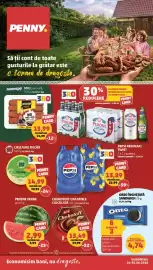 Catalog Penny săptămâna 26 Pagină 1