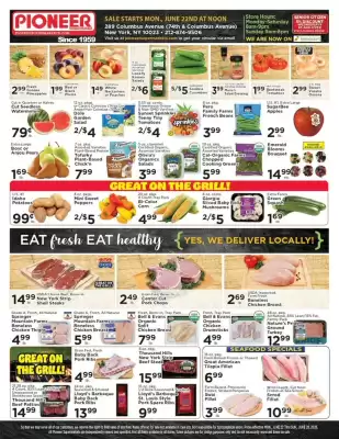 Pioneer (valid until 28-06)