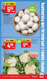 Polomarket gazetka tydzień 26 Strona 5