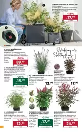 Dehner Flugblatt woche 26 Seite 2