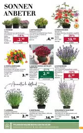 Dehner Flugblatt woche 26 Seite 3