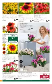 Dehner Flugblatt woche 26 Seite 4