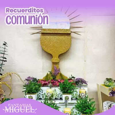 Fantasías Miguel (válido hasta 30-06)