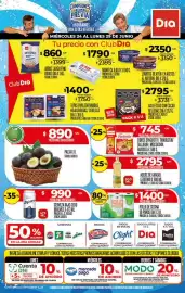 Folleto Supermercados DIA semana 26 Página 1