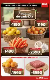 Folleto Supermercados DIA semana 26 Página 10