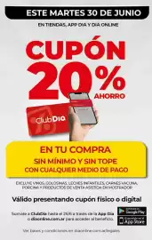 Folleto Supermercados DIA semana 26 Página 12
