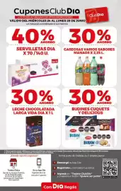 Folleto Supermercados DIA semana 26 Página 13