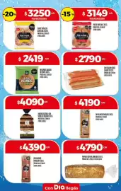 Folleto Supermercados DIA semana 26 Página 15