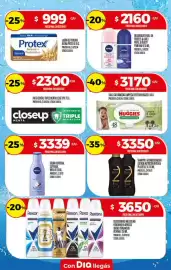 Folleto Supermercados DIA semana 26 Página 26