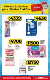 Folleto Supermercados DIA semana 26 Página 28