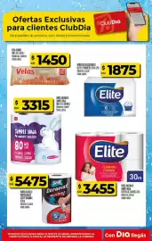 Folleto Supermercados DIA semana 26 Página 29