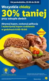 Lidl gazetka Strona 13