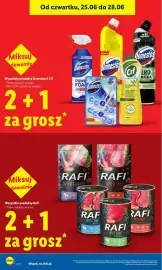 Lidl gazetka Strona 22