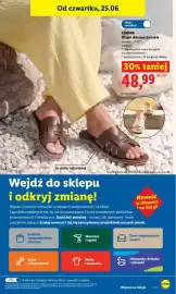 Lidl gazetka Strona 31