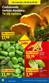 Lidl gazetka Strona 36