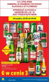 Lidl gazetka Strona 4
