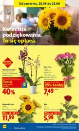Lidl gazetka Strona 40