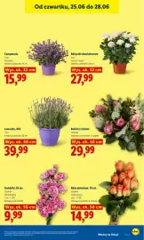 Lidl gazetka Strona 41