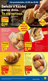 Lidl gazetka Strona 47