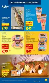 Lidl gazetka Strona 51