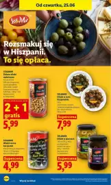 Lidl gazetka Strona 62