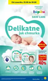 Lidl gazetka Strona 87