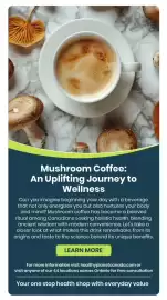 Healthy Planet flyer Page 13
