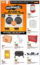 Home Depot flyer Page 2