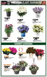 Home Depot flyer Page 3