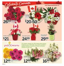 Fortinos flyer week 26 Page 16