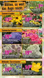 Hornbach Prospekt Seite 10