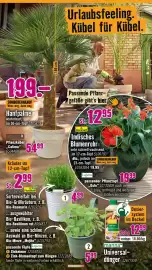 Hornbach Prospekt Seite 9