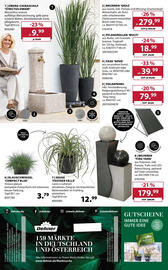 Dehner Prospekt woche 26 Seite 16