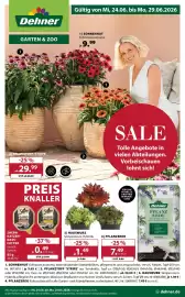 Dehner Prospekt woche 26 Seite 1