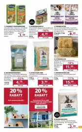 Dehner Prospekt woche 26 Seite 13