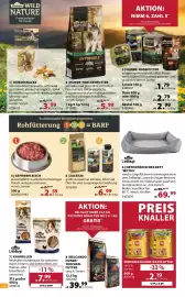 Dehner Prospekt woche 26 Seite 14