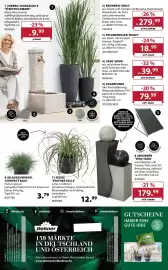 Dehner Prospekt woche 26 Seite 16