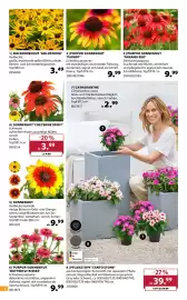 Dehner Prospekt woche 26 Seite 4