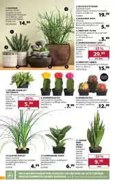 Dehner Prospekt woche 26 Seite 8
